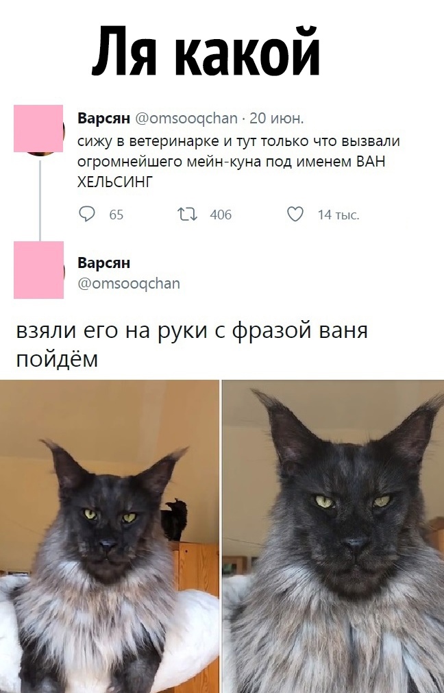 Ля какой Варсян отэоочсічап 20 июн сижу в ветеринарке и тут только что вызвали огромнейшего мейнйкуна под именем ВАН ХЕЛЬСИНГ О 65 11 406 14тыс Варсян отэооцсітап взяли его на руки с фразой ваня пойдём