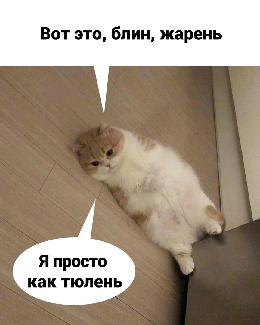 Вот это блин жарень Я просто как тюлень