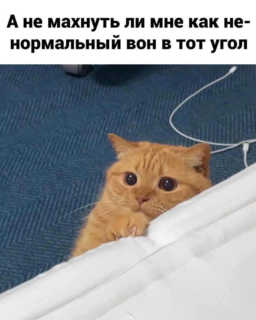 А не махнуть ли мне как не нормальный вон в тот угол