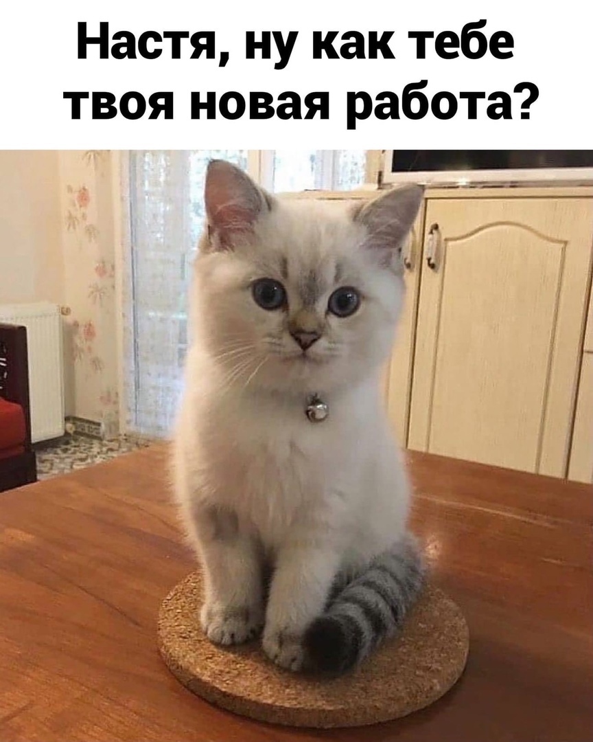 Настя ну как тебе твоя новая работа