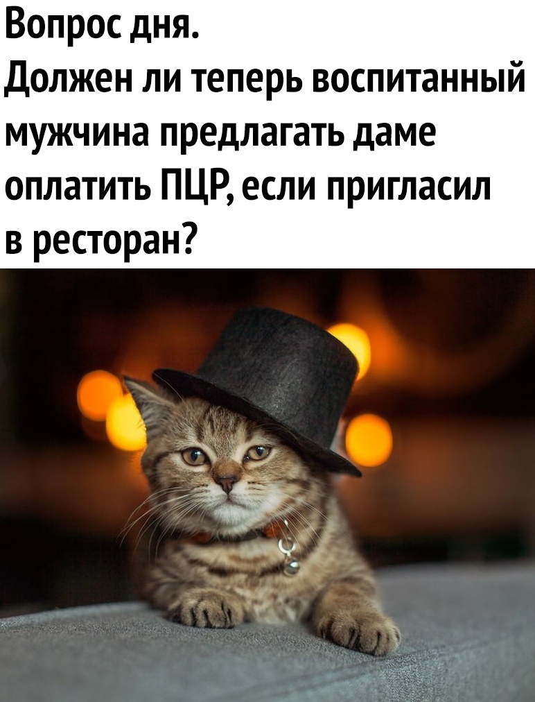 Вопрос дня Должен ли теперь воспитанный мужчина предлагать даме оплатить ПЦР если пригласил в ресторан