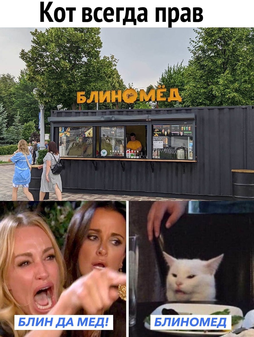 Кот всегда прав