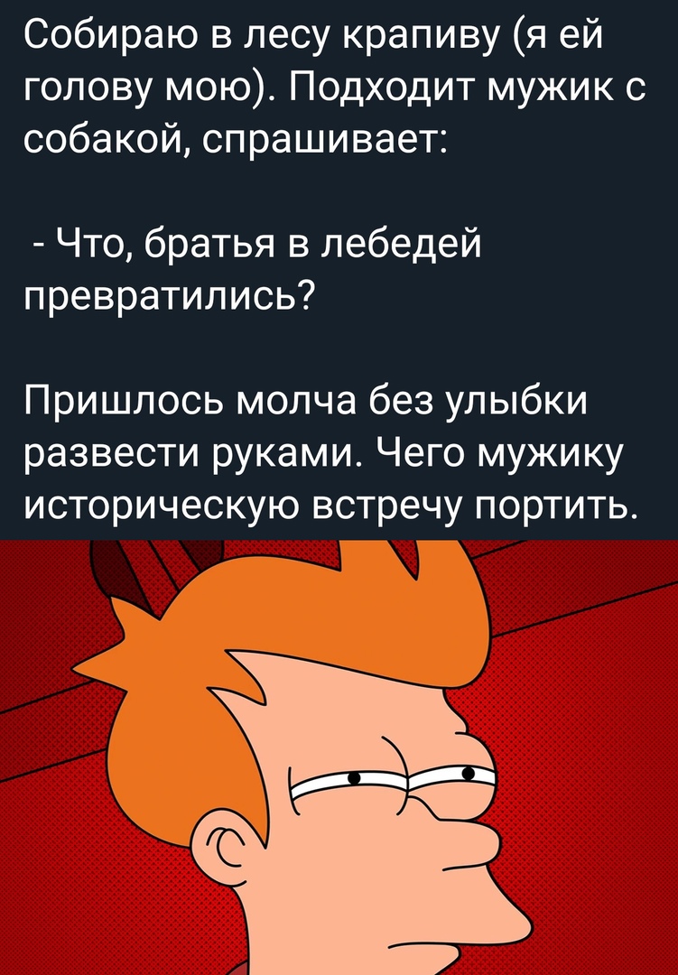 Собираю в лесу крапиву я ей голову мою Подходит мужик с собакой спрашивает Что братья в лебедей превратились Пришлось молча без улыбки развести руками Чего мужику историческую встречу портить