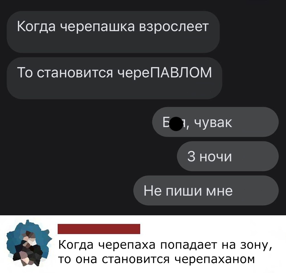Когда черепашка взрослеет То становится череПАВЛОМ Е 1 чувак 3 ночи Не пиши мне Ш КОГДд ЧЭРЭПдХд попадает Нд ЗОНУ ТО ОНд СТдНОВИТСЯ черепаханом