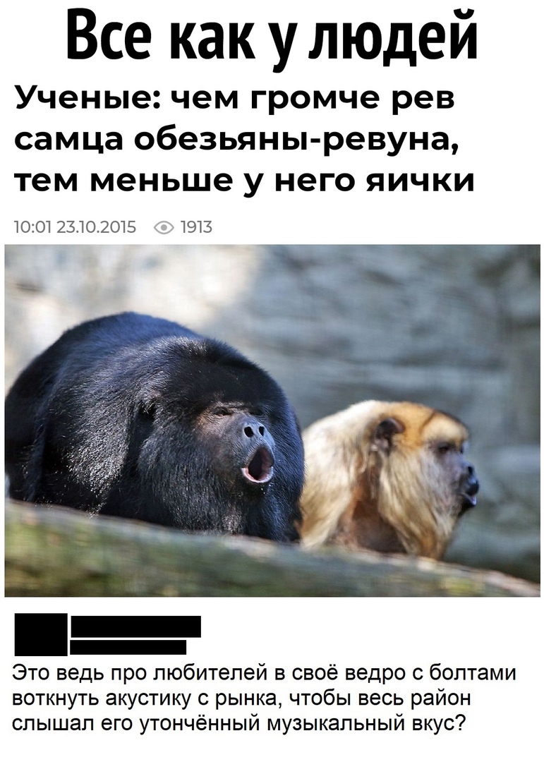 Все как улюдей Ученые чем громче рев самца обезьяны ревуна тем меньше у него яички 1001 23102015 1913 Это ведь про любителей в своё ведро с болтами воткнуть акустику с рынка чтобы весь район слышал его утончённый музыкальный вкус