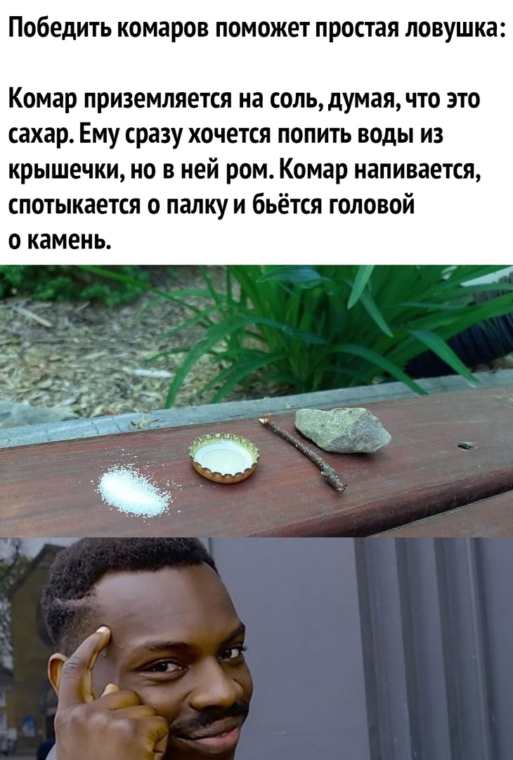 Победить комаров поможет простая ловушка Комар приземляется на соль думая что это сахар Ему сразу хочется попить воды из крышечки но в ней ром Комар напивается спотыкается о палку и бьётся головой о камень