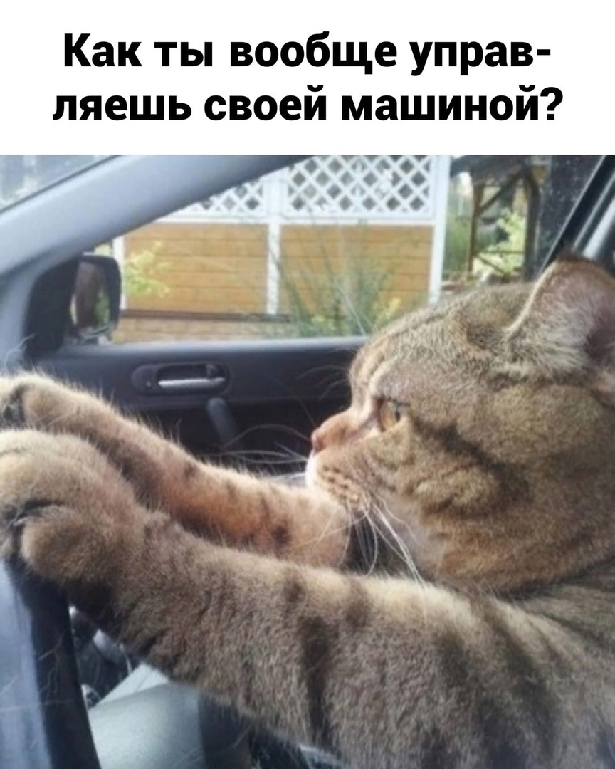 Как ты вообще управ ляешь своей машиной