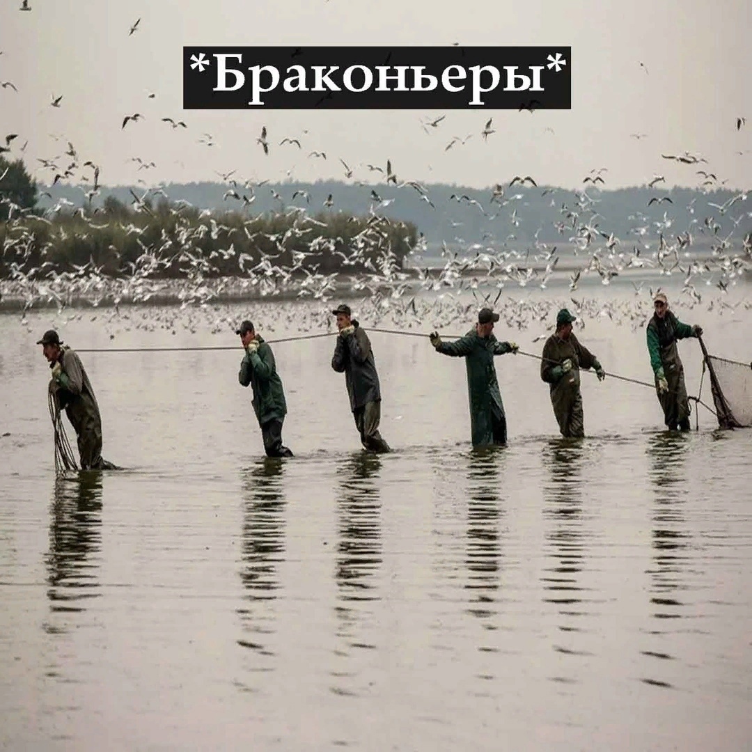 ___ ___3_________ _