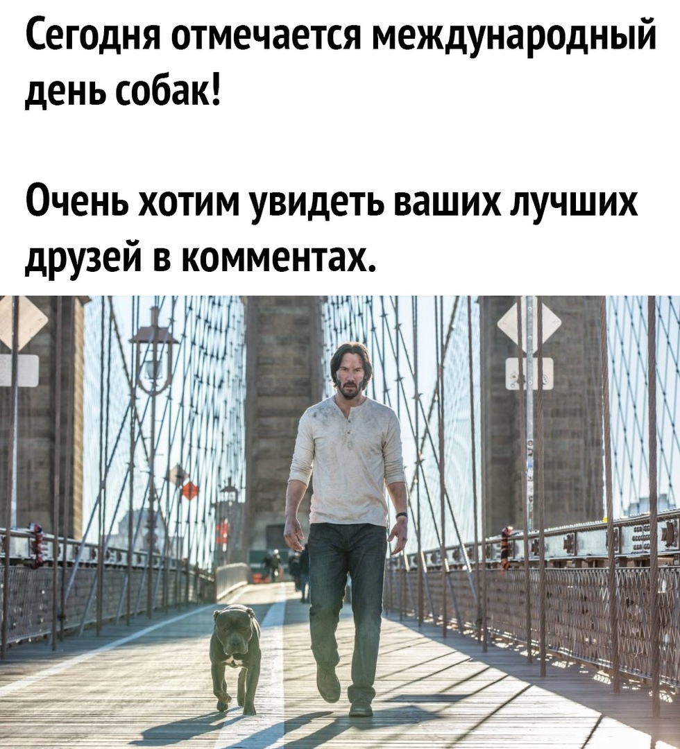 Сегодня отмечается международный день собак Очень хотим увидеть ваших лучших друзей в комментах щ д ян И г 1 7 1 __ Ё О _ 31 п