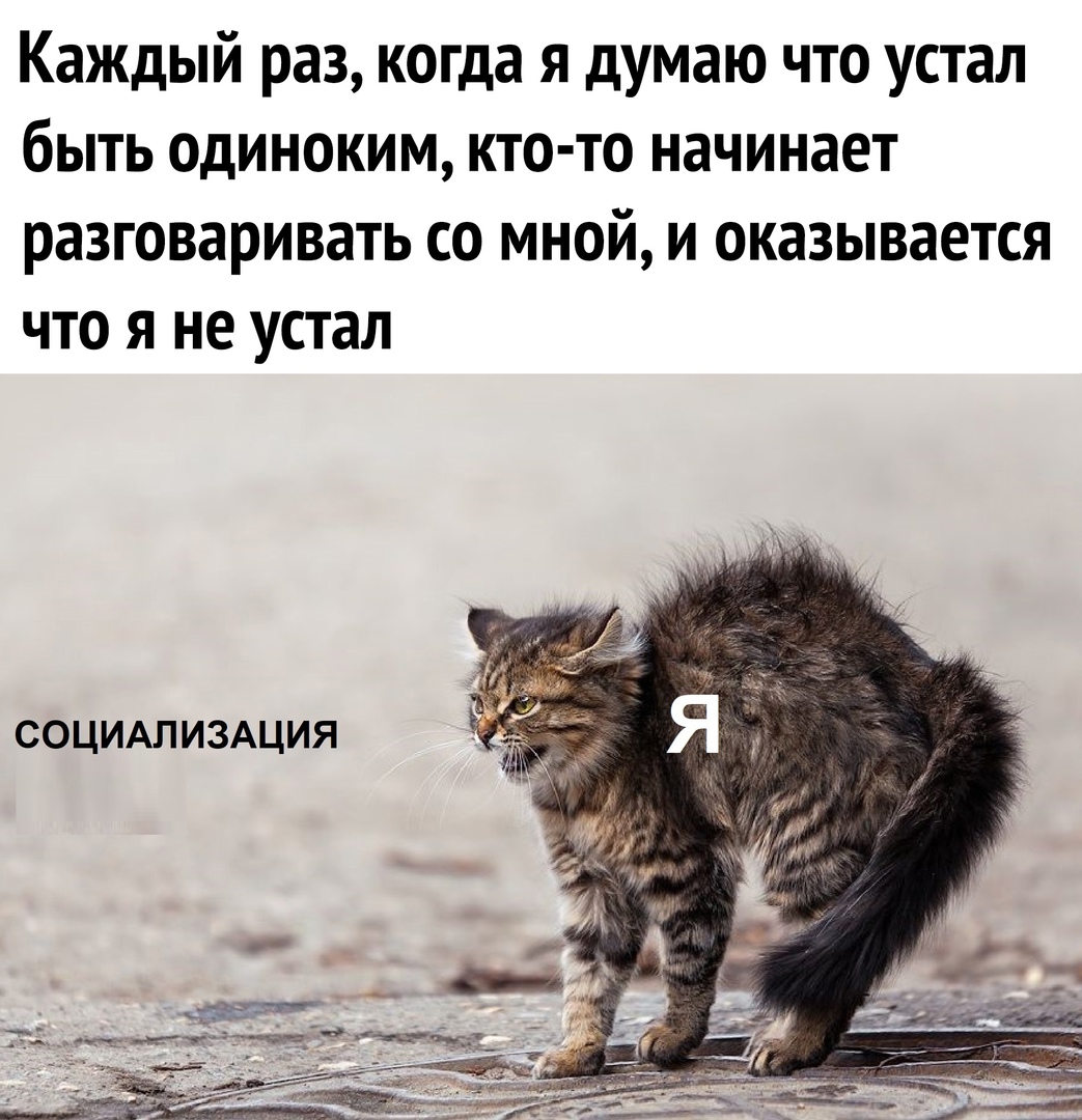 Каждый раз когда я думаю что устал быть одиноким кто то начинает разговаривать со мной и оказывается что я не устал СОЦИАЛИЗАЦИЯ