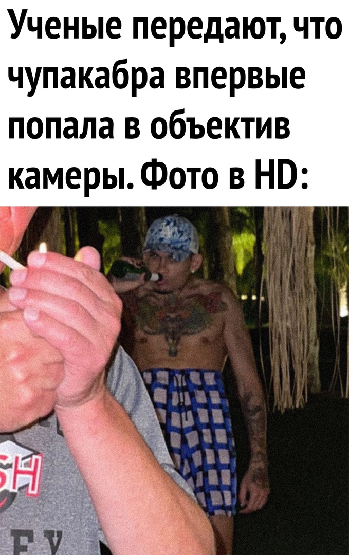 Ученые передают что чупакабра впервые попала в объектив камеры Фото 3 НБ