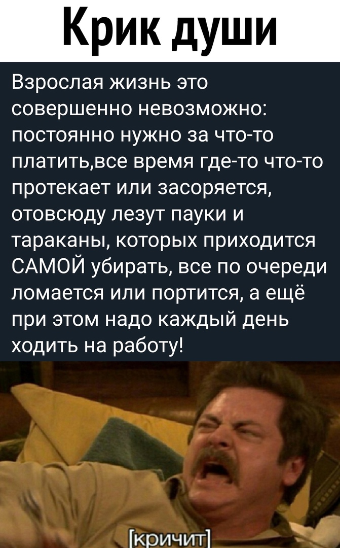Крик души Взрослая жизнь это совершенно невозможно постоянно нужно за что то платитьвсе время где то что то протекает или засоряется отовсюду лезут пауки и тараканы которых приходится САМОЙ убирать все по очереди ломается или портится а ещё при этом надо каждый день ходить на работу кричит