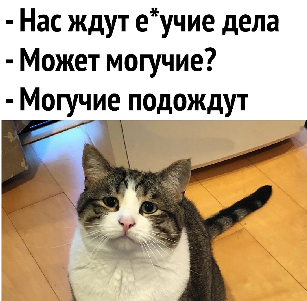 Нас ждут еучие дела Может могучие Могучие подождут