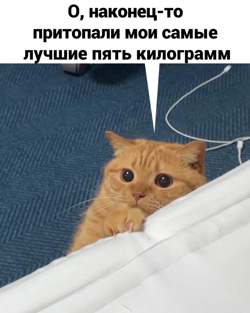 0 наконец то притопали мои самые л чшие пять килог