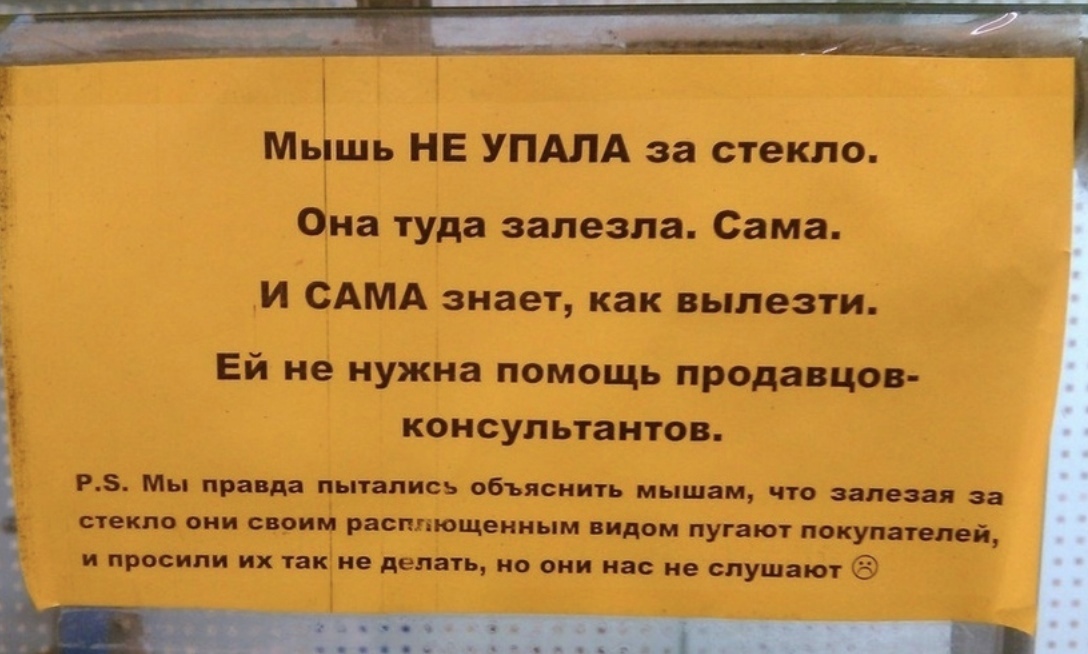 Мышь НЕ УПАЛА за стекло Она туда залезла Сама И САМА знает как вылезти Ей не нужна помощь продавцов консультантов Р Мы правда пытались объяснить мышам что залезая за стекло они своим расппющенным видом пугают покупателей и просили их так не делать но они нас не слушают