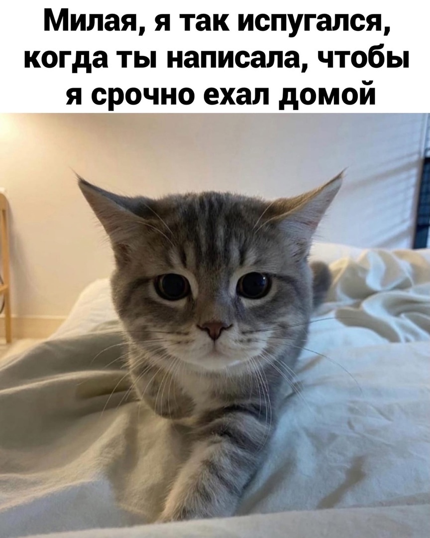 Милая я так испугался когда ты написала чтобы Я СРОЧНО ехал дОМОй а