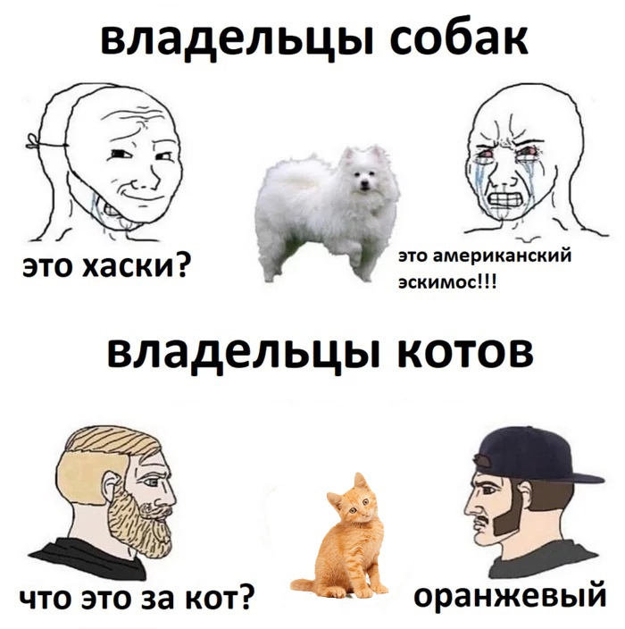 Гениально контакт