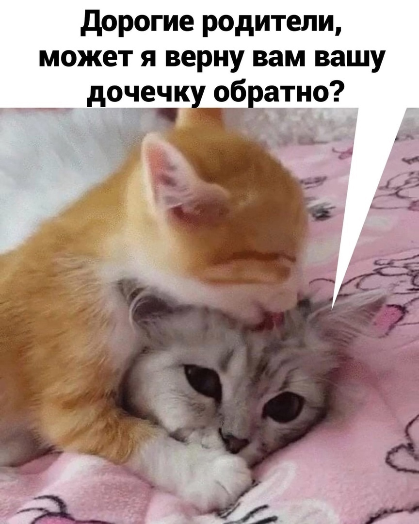 Дорогие родители, может я верну вам вашу