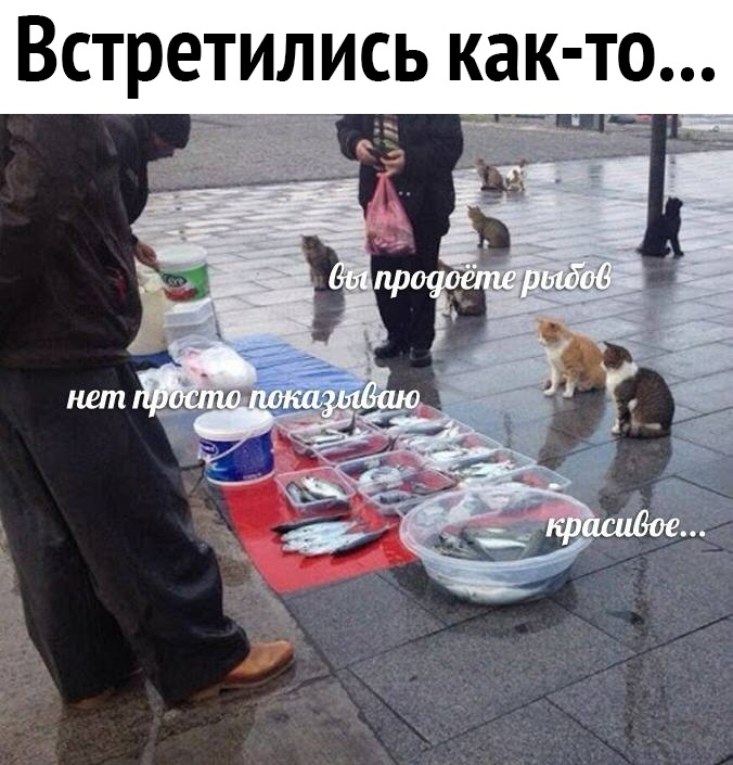 Встретились как то мд