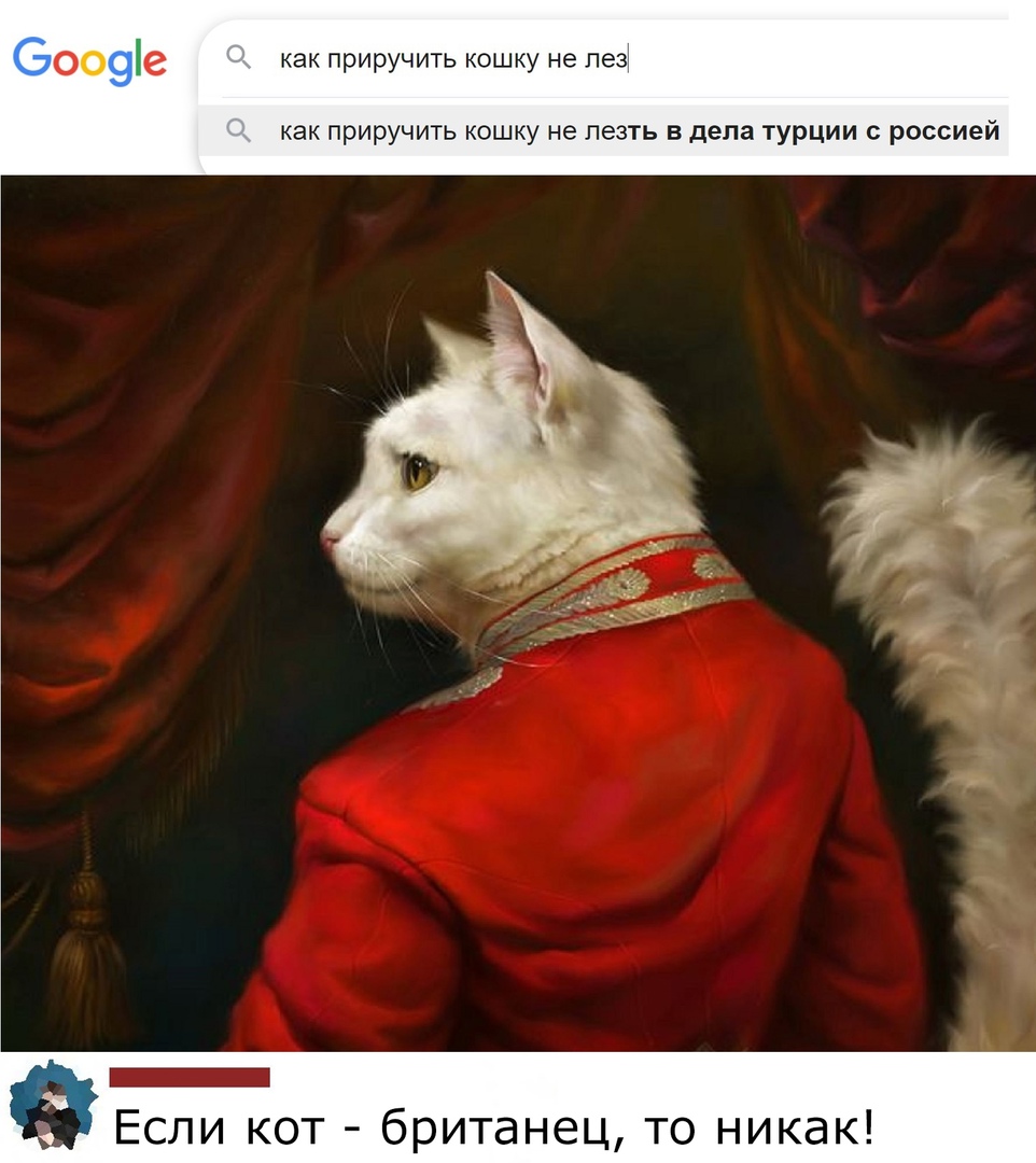 оо С как приручить кошку не лез как приручить кошку не лезть в дела турции россией британец то никак