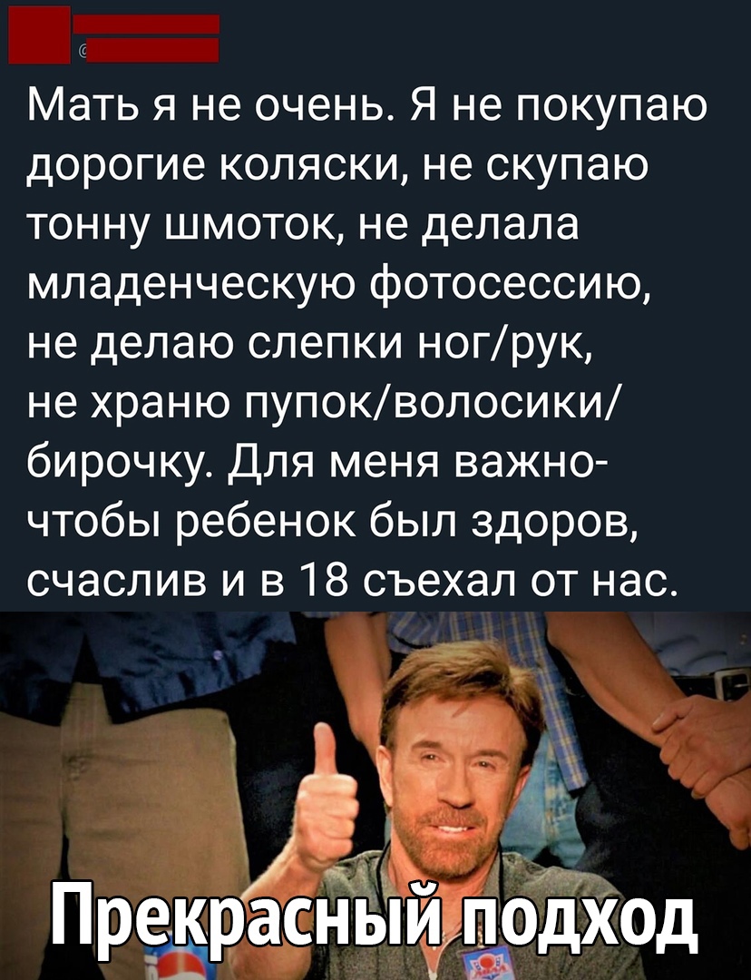 _ Мать я не очень Я не покупаю дорогие коляски не скупаю тонну шмоток не делала младенческую фотосессию не делаю слепки ногрук не храню пупокволосики бирочку Для меня важно чтобы ребенок был здоров счаслив и в 18 съехал от нас