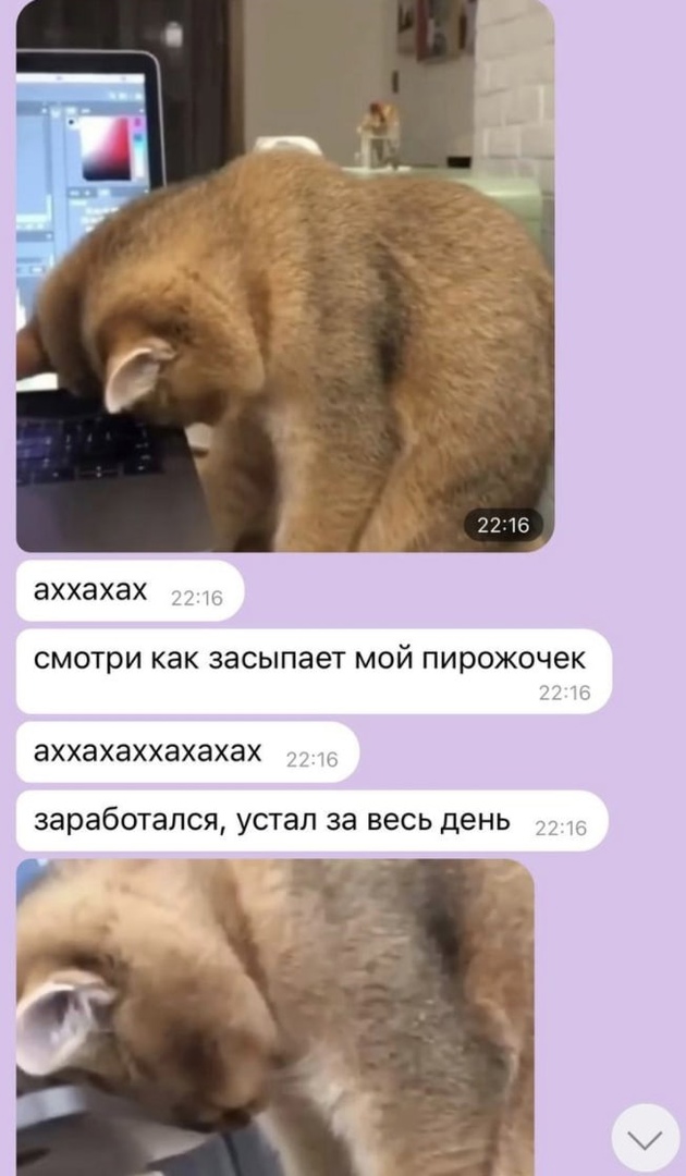 аххахах СМОТРИ как ЗЗСЫПЗВТ МОЙ ПИРОЖОЧЗК аХХЭХЭХХЭХЭХЭХ заработался устал за весь день Р