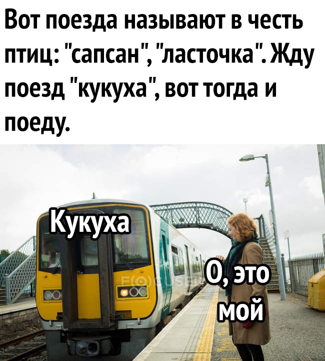ВОТ поезда НдЗЫВдЮТ В ЧЕСТЬ птиц сапсан ласточка Жду поезд кукуха вот тогда и поеду