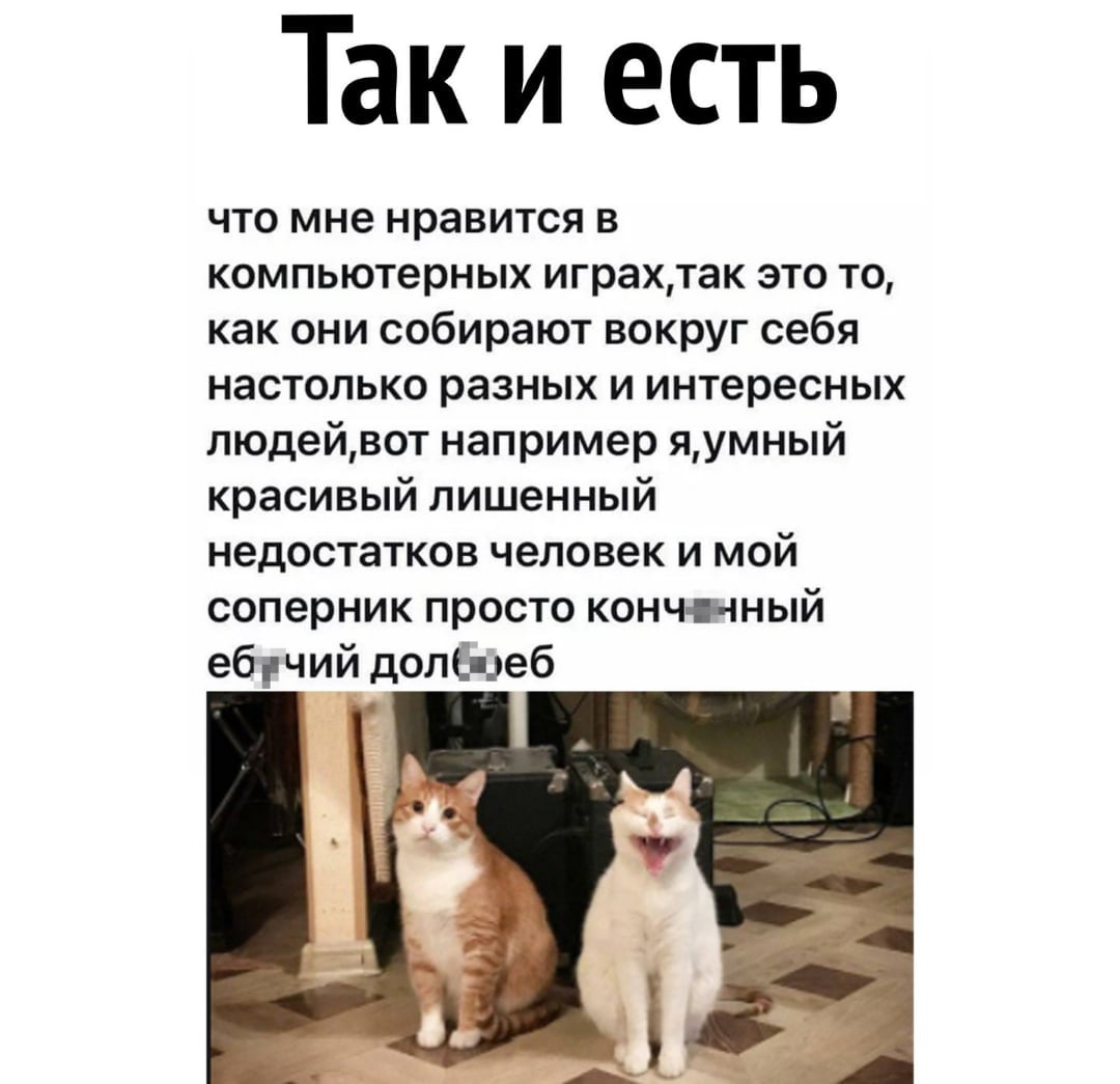 Так и есть что мне нравится в компьютерных играхтак это то как они собирают вокруг себя настолько разных и интересных людейвот например яумный красивый лишенный недостатков человек и мой соперник просто конч пчный ебучий долС деб