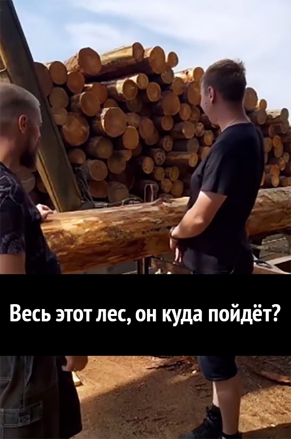 Весь этот лес он куда пойдёт ні Ь