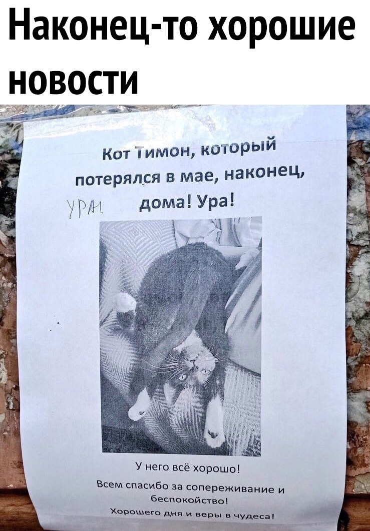 Наконец то ХОрошие н9_рости 1Ъжтд Кот имон которыи потерялся в мае наконец 1 дома Ура 527 У него всё Хорошо Всем спасибо за сопереживание и Бесппкойпвоі