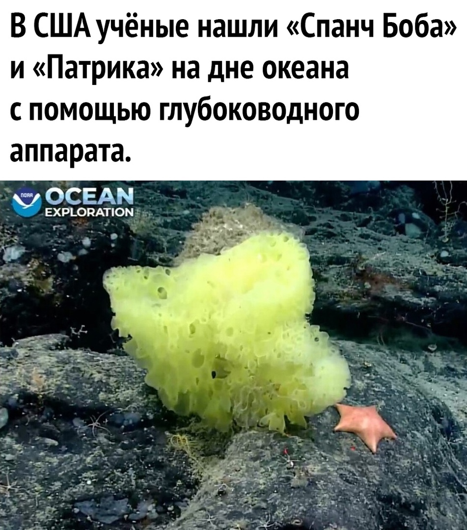 В США учёные нашли Спанч Боба и Патрика на дне океана с помощью глубоководного аппарата ФОСЕАМ ЕХРЪОРАПОМ