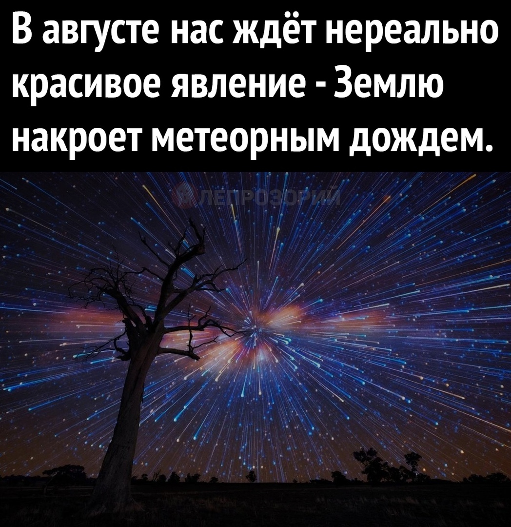 В августе нас ждёт нереально красивое явление Землю накроет метеорным  дождем - выпуск №1021799