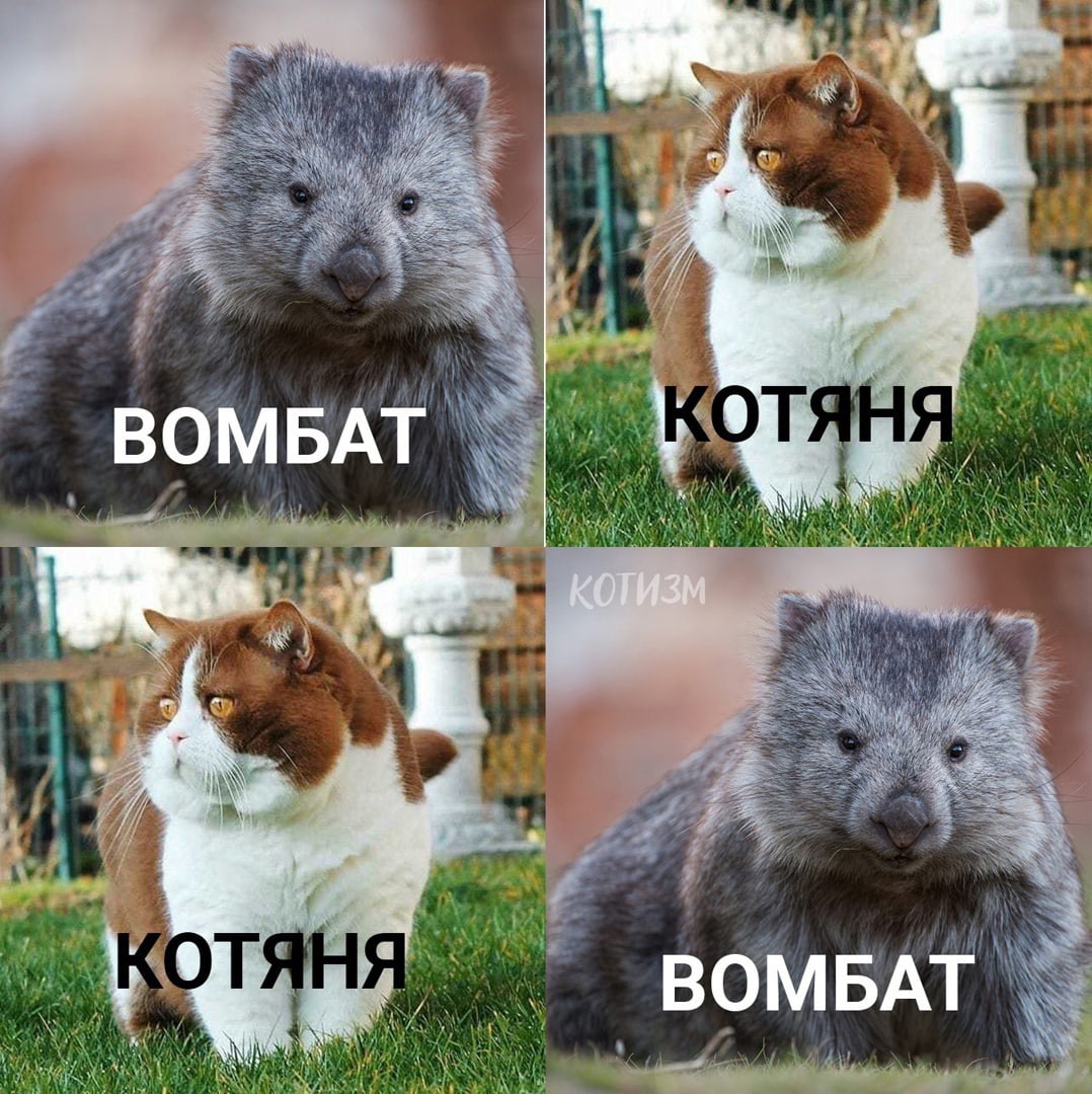 Рг но «аноя  упаарорчинроть