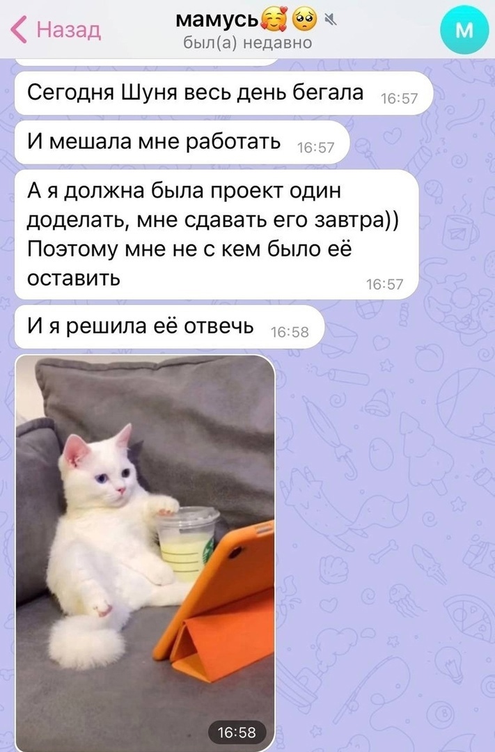 Назад мамусьвбк была недавно Сегодня Шуня весь день бегала 57 И мешала мне работать 57 А я должна была проект один доделать мне сдавать его завтра Поэтому мне не с кем было её оставить 57 И я решила её отвечь 58