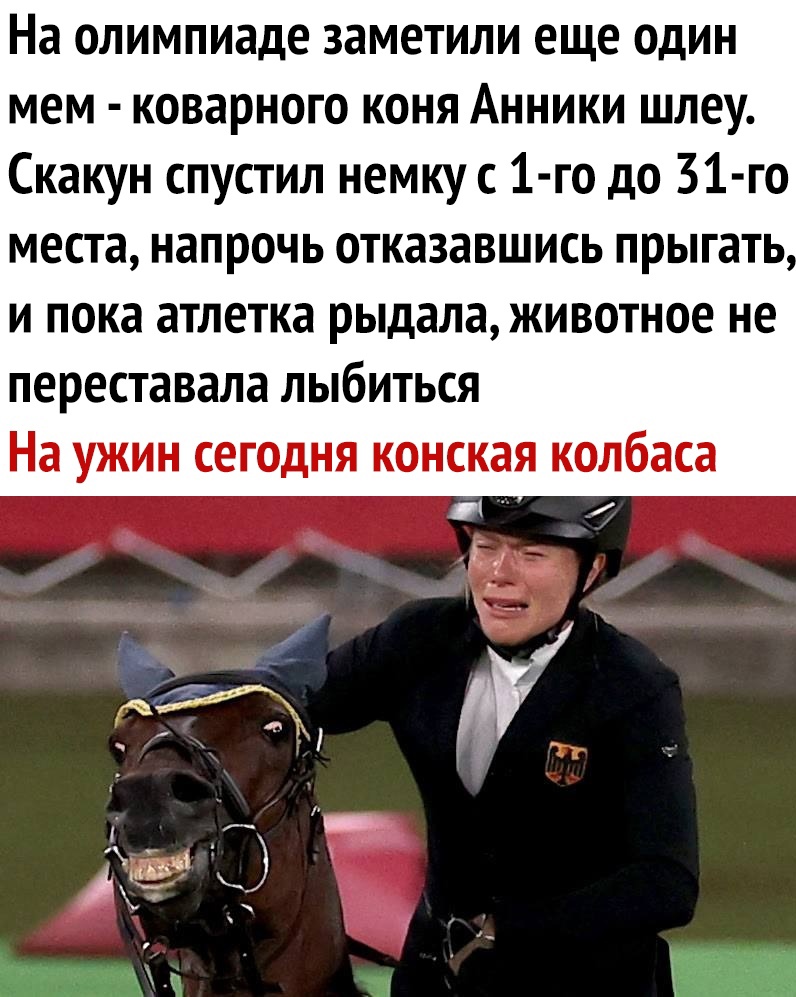 На олимпиаде заметили еще один мем коварного коня Анники шлеу Скакун спустил немку с 1 го до 31 го места напрочь отказавшись прыгать И пока атлетка рыдала ЖИВОТНОЕ не переставала ЛЫбИТЬСЯ На ужин сегодня конская колбаса _ _