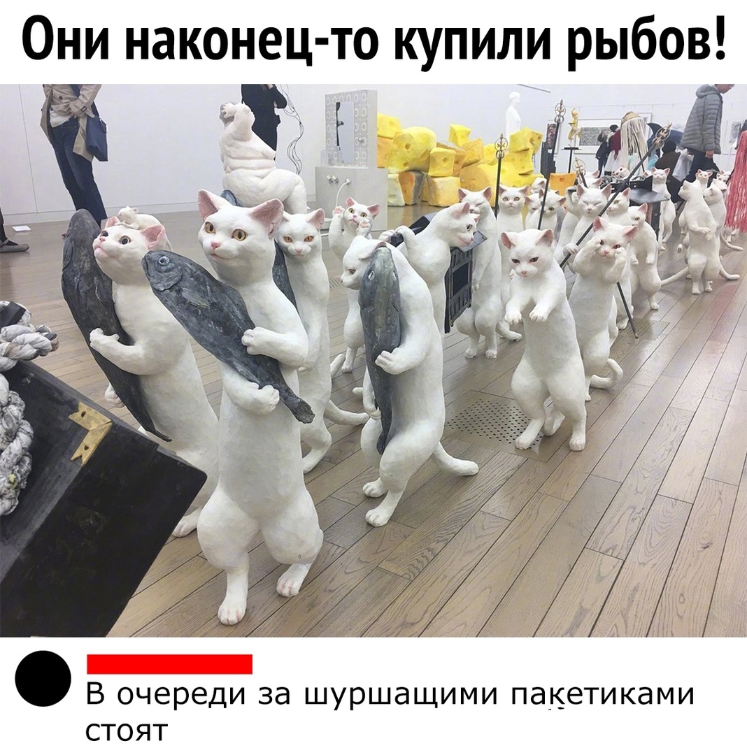 Они наконец то купили рыбов ЁЁ Р В очереди за шуршащими пакетиками стоят