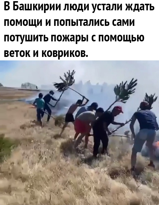 В Башкирии люди устали ждать помощи и попытались сами потушить пожары с помощью веток и ковриков