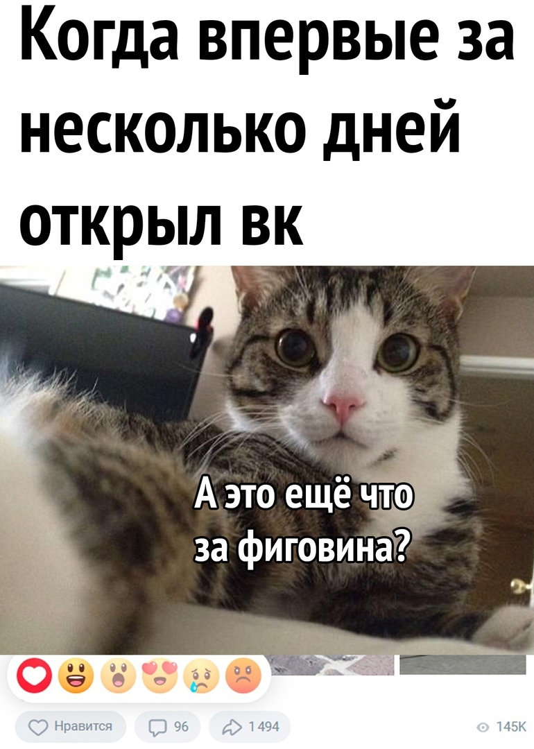 Когда впервые за несколько дней открыл вк