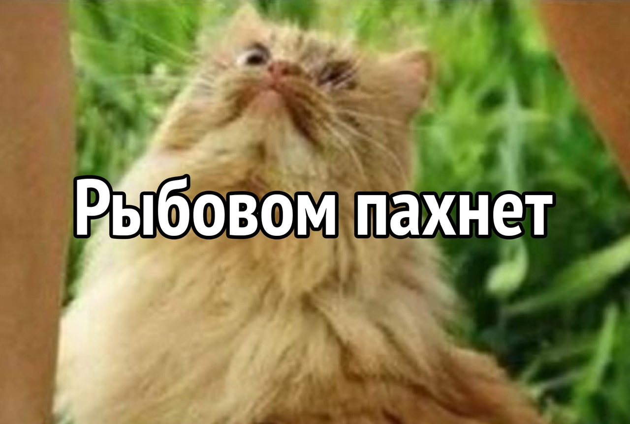 ЕТ