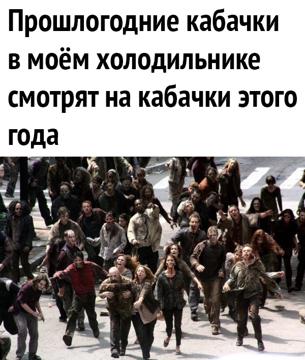 Прошлогодние кабачки в моём холодильнике смотрят на кабачки этого