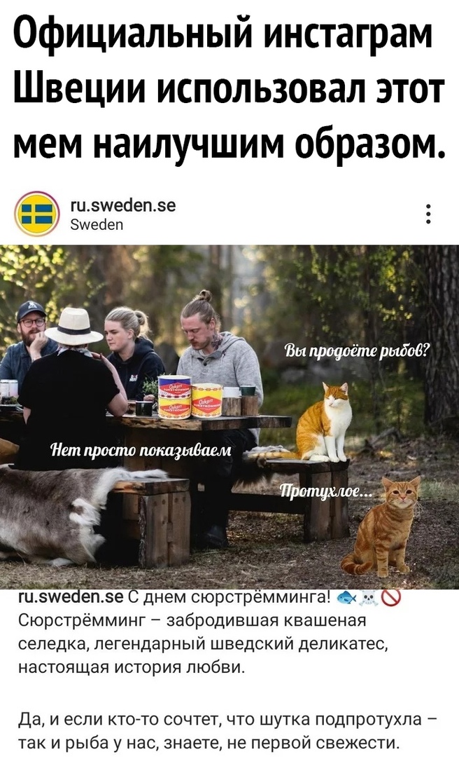 Официальный инстаграм Швеции использовал этот мем наилучшим образом гиымейепее Зщесіеп гцзше епзе днем сюрстремминга Сюрстрёмминг забродившая квашеная селедка легендарный шведский деликатес настоящая история любви Да И если КТО ТО СОЧТЭТ ЧТО ШУТКЭ подпротухла _ ТЭК И рыба у нас знаете не ПЕРВОЙ СВЭЖЭСТИ