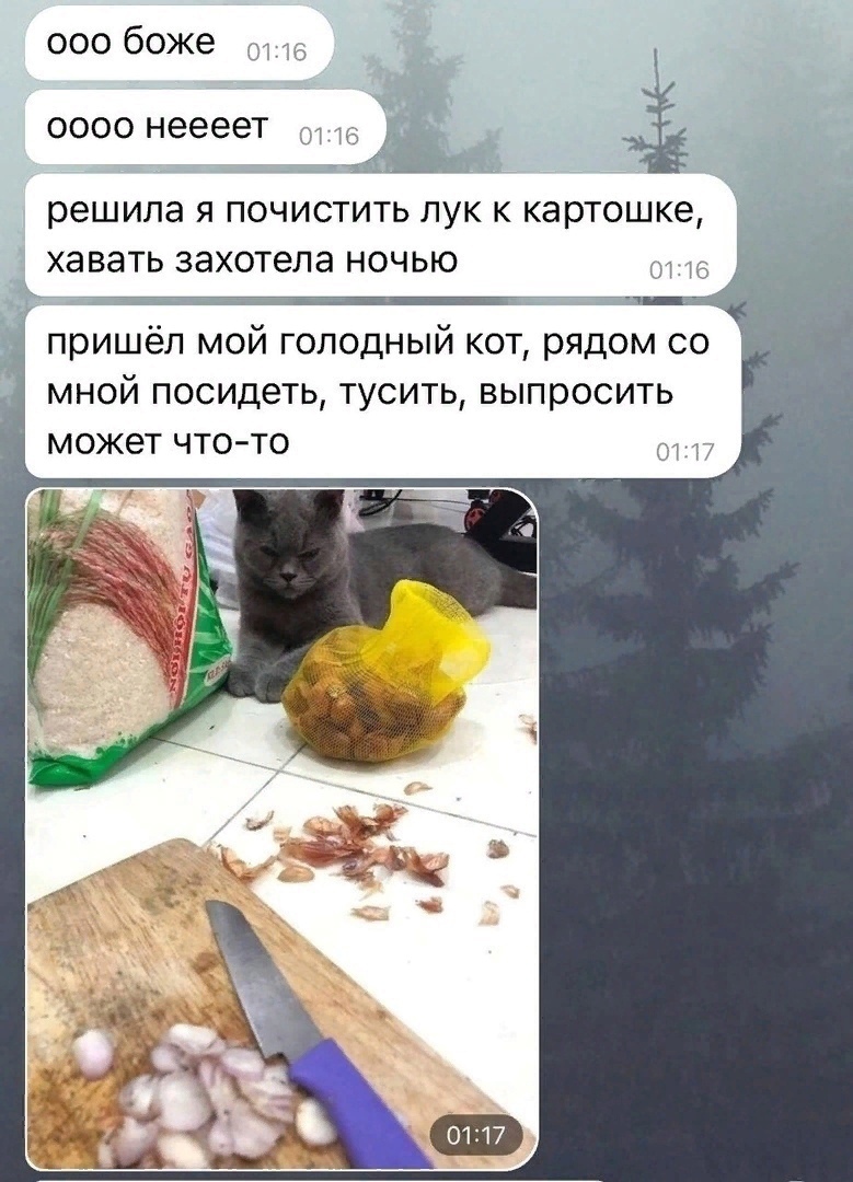 ооо боже шт 3 _ в 0000 неееет Ё решила Я ПОЧИСТИТЬ ЛУК К картошке ХЭВЭТЬ захотела НОЧЬЮ 16 пришёл мой голодный кот рядом со мной посидеть тусить выпросить может чтото от 17