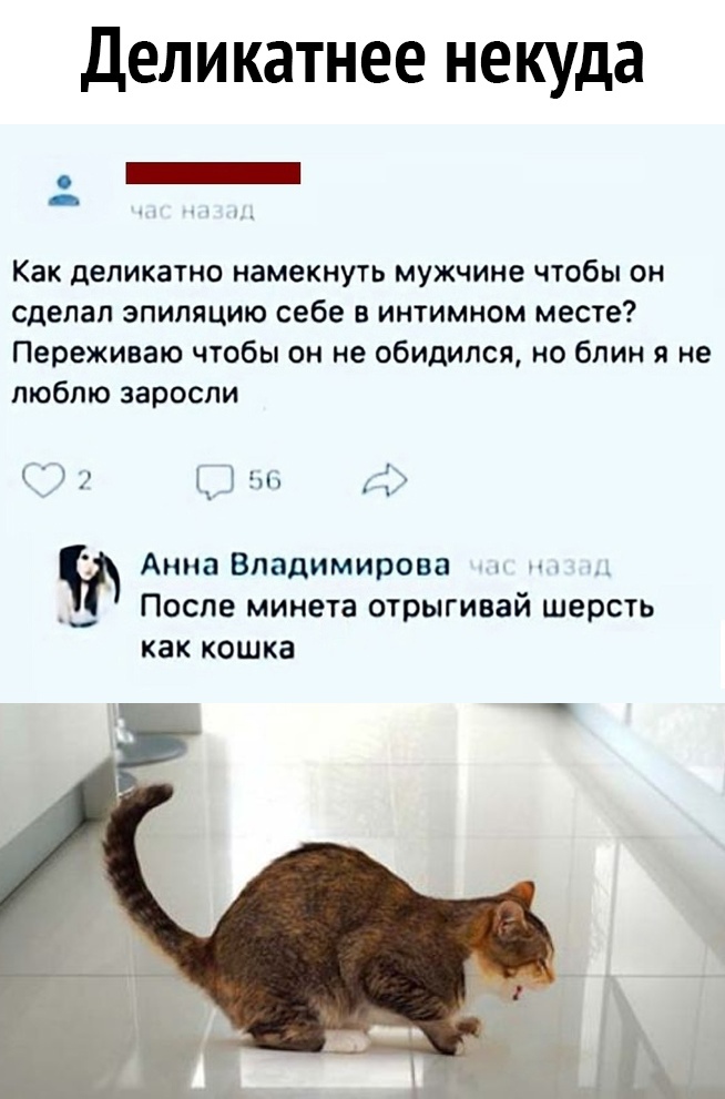 Деликатнее некуда Как деликатно намекнуть мужчине чтобы он сделал эпиляцию себе в интимном месте Переживаю чтобы он не обидился но блин я не люблю заросли _ и Анна Владимирова После минета отрыгивай шерсть как кошка