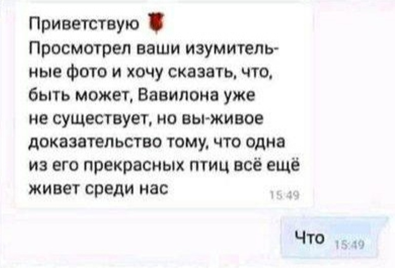 Приветствую Просмотрел ваши изумитель ные фото и хочу сказатьчто быть может Вавилона уже не существует но вы живое доказательство тому что одна из его прекрасных птиц всё ещё живет среди нас что 1 10