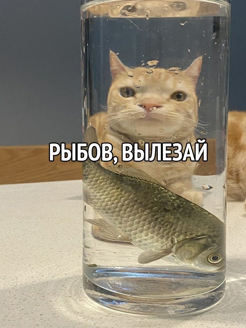рывоЁвБШЕЗЁЙ ч