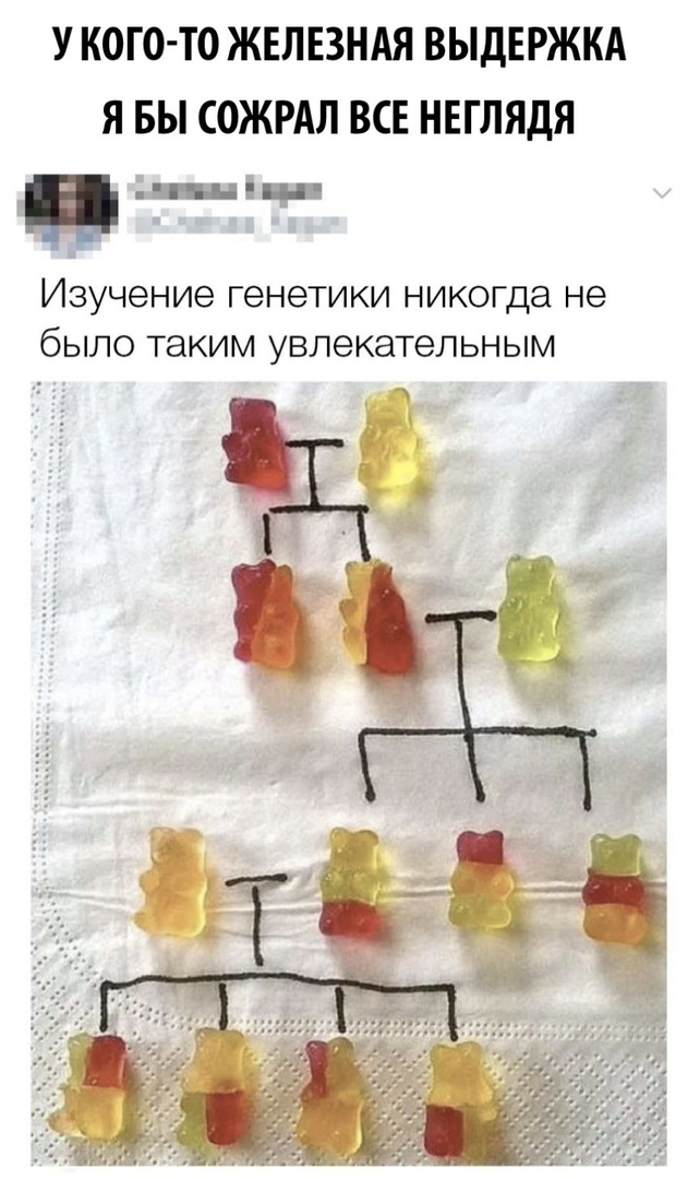 У КОГО ТО ЖЕЛЕЗНАЯ ВЫДЕРЖКА Я БЫ СОЖРАЛ ВСЕ НЕГЛЯДЯ ИЗУЧЭНИЭ генетики НИКОГДЭ НЭ бЫЛО ТЗКИМ УВЛЭКЭТЗЛЬНЫМ