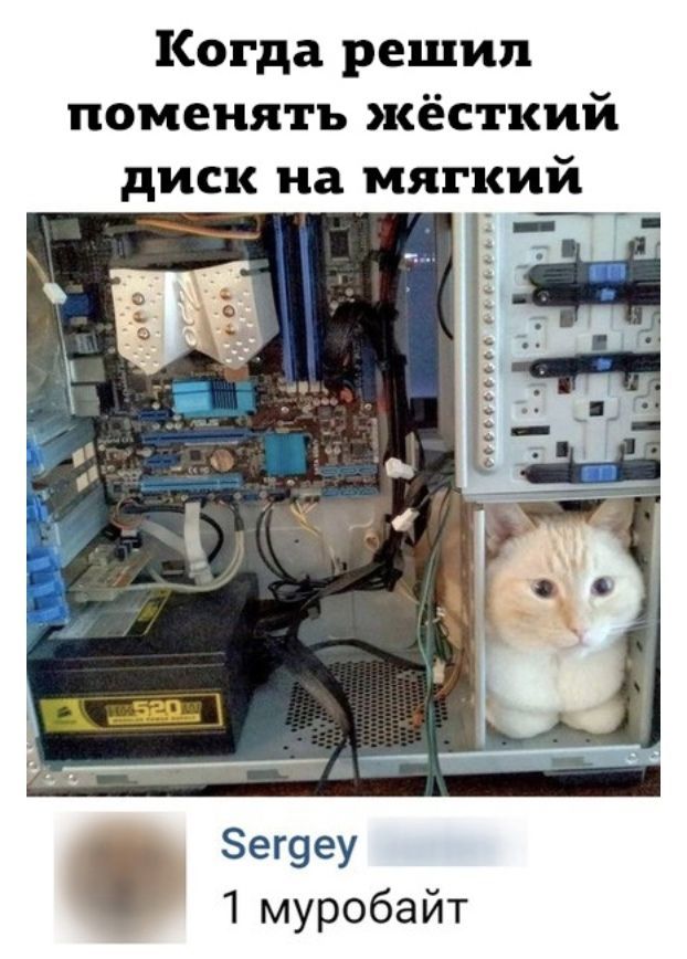 Когда решил поменять жёсткий диск на мягкий ег9еу 1 муробайт