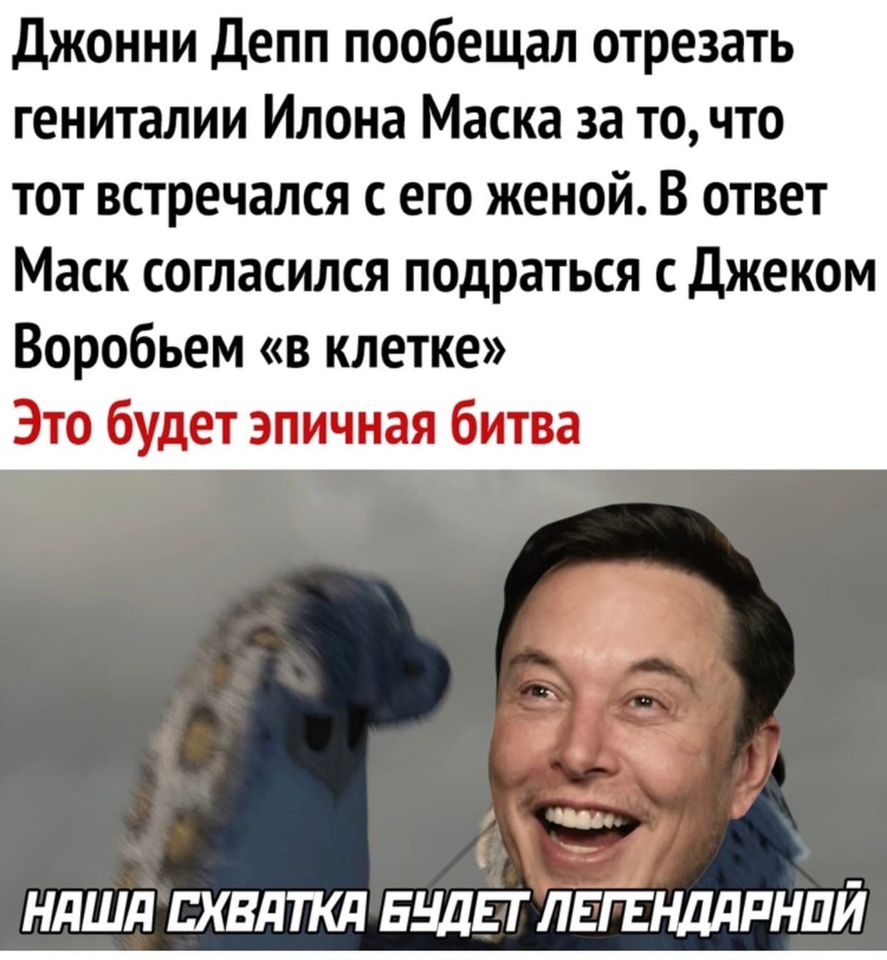 Джонни Депп пообещал отрезать гениталии Илона Маска за то что тот встречался с его женой В ответ Маск согласился подраться с Джеком Воробьем в клетке Это будет эпичная битва ндшд пхвджд вид гг ЛЕГЕНДдРНПЙ