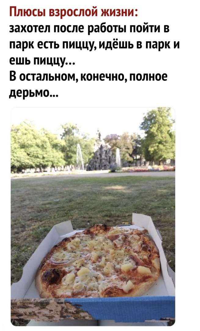 Плюсы взрослой жизни захотел после работы пойти в парк есть пиццу идёшь в парк и ешь пиццу В остальном конечно полное дерьмо