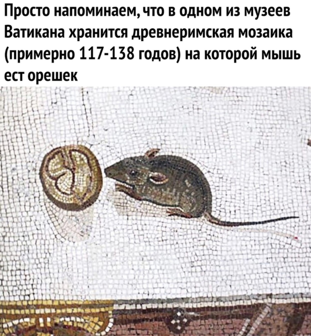 Просто напоминаем что в одном из музеев Ватикана хранится древнеримская мозаика примерно 117 138 годов на которой мышь ест орешек _